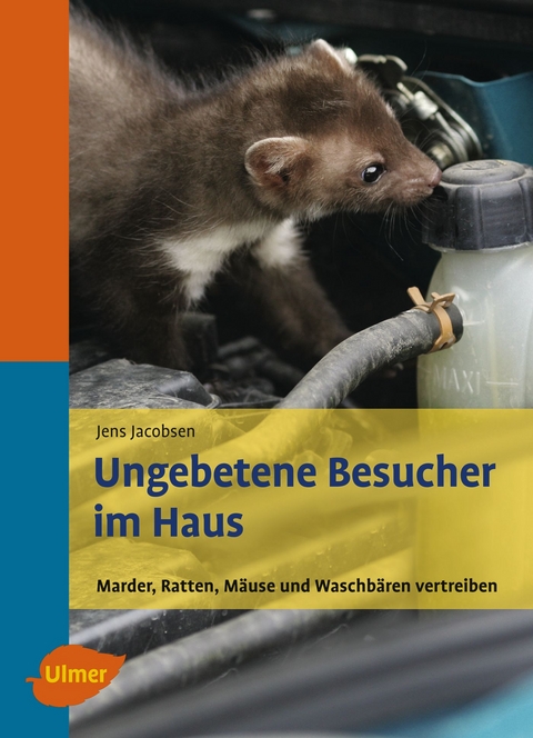 Ungebetene Besucher im Haus - Jens Jacobsen