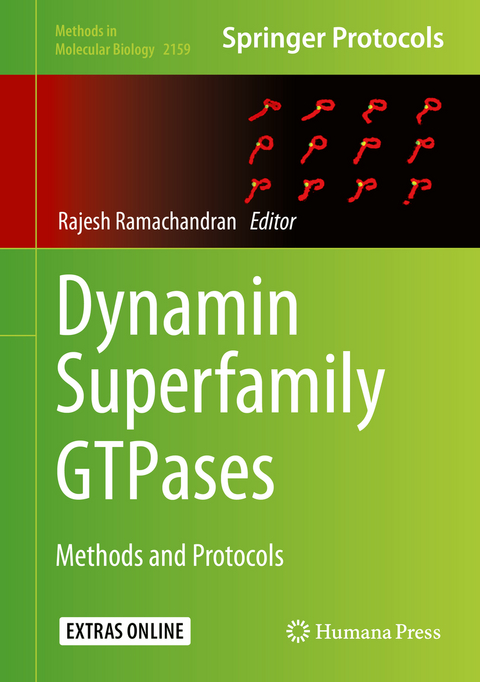 Dynamin Superfamily GTPases - 