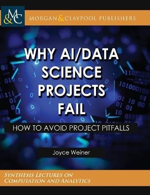 Why AI/Data Science Projects Fail - Joyce Weiner