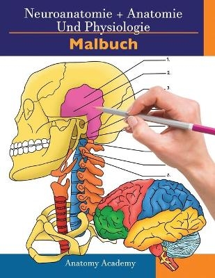 Neuroanatomie + Anatomie und Physiologie Malbuch - Clement Harrison