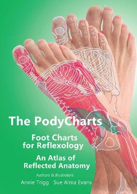 The PodyCharts foot charts for reflexology - Annie Trigg, Sue Alma Evans