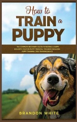 How to Train a Puppy - Brandon White