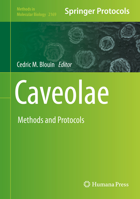 Caveolae - 