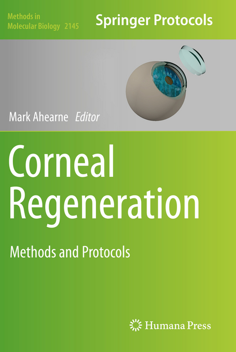 Corneal Regeneration - 