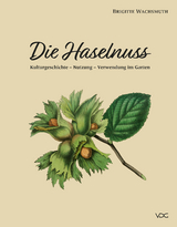 Die Haselnuss - Brigitte Wachsmuth