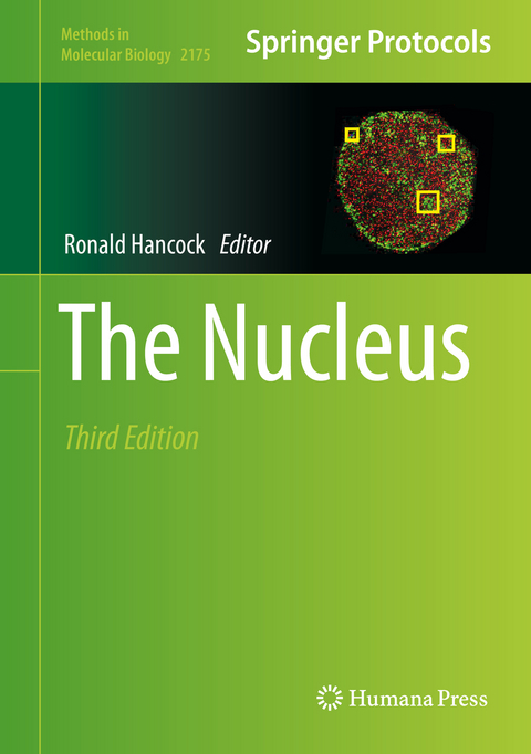 The Nucleus - 