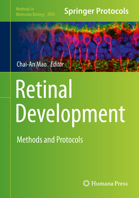 Retinal Development - 