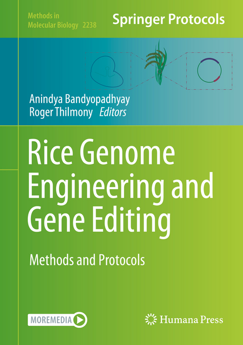 Rice Genome Engineering and Gene Editing - 