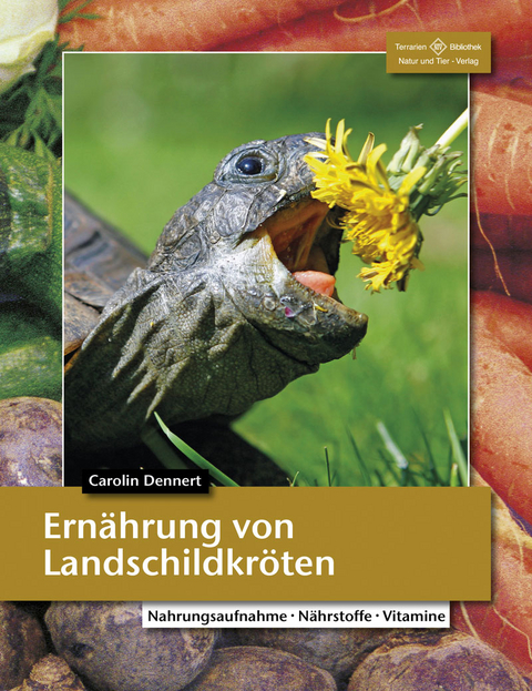 Ernährung von Landschildkröten - Carolin Dennert