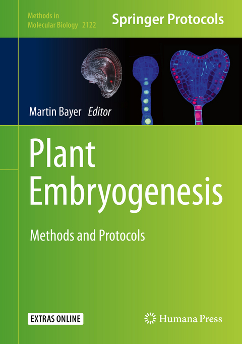 Plant Embryogenesis - 