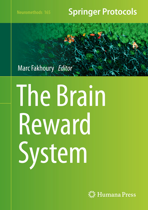 The Brain Reward System - 