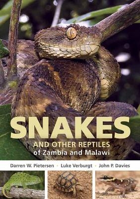 Field Guide to Snakes and other Reptiles of Zambia and Malawi - Darren W. Pietersen, Luke Verburgt