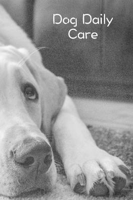 Dog Daily Care - Gabriel Bachheimer