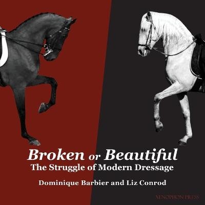 Broken or Beautiful - Dominique Barbier, Liz Conrod