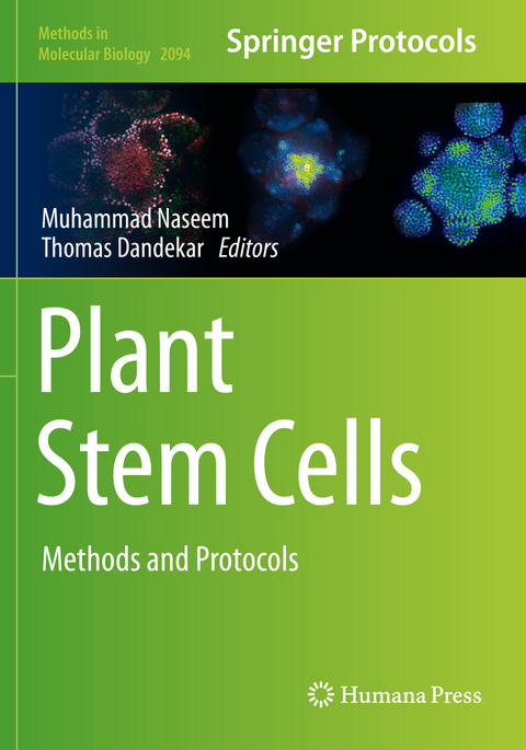 Plant Stem Cells - 