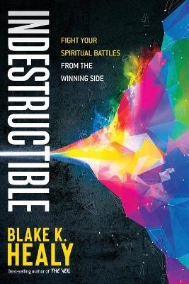 Indestructible - Blake K Healy