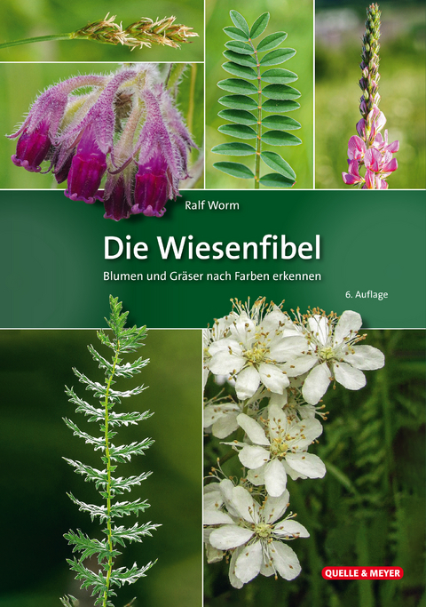 Die Wiesenfibel - Ralf Worm