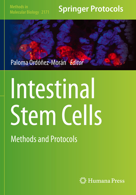 Intestinal Stem Cells - 