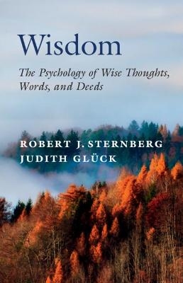 Wisdom - Robert J. Sternberg, Judith Glück