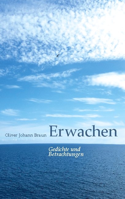 Erwachen - Oliver Johann Braun