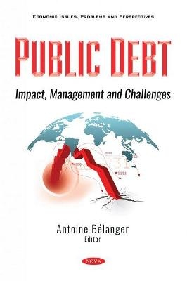 Public Debt - 