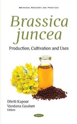 Brassica juncea - 