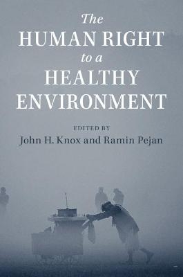 The Human Right to a Healthy Environment - 