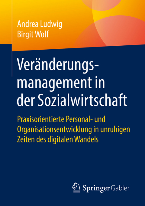 Veränderungsmanagement in der Sozialwirtschaft - Andrea Ludwig, Birgit Wolf