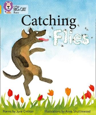 Catching Flies - June Crebbin