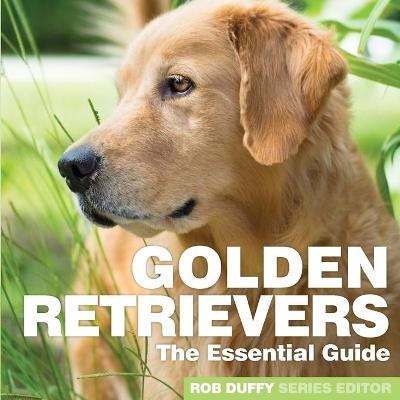 Golden Retrievers - 