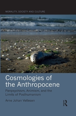 Cosmologies of the Anthropocene - Arne Johan Vetlesen