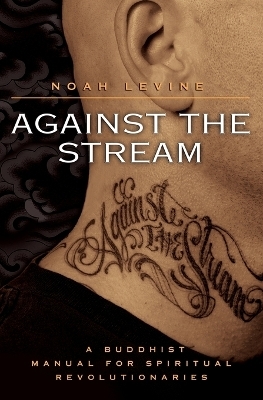 Against the Stream - Noah Levine