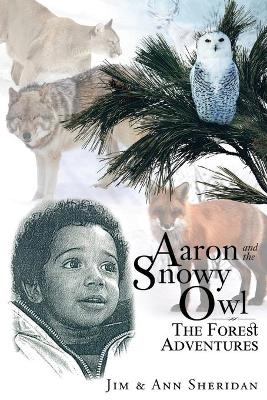 Aaron and the Snowy Owl - Jim &amp Sheridan;  Ann