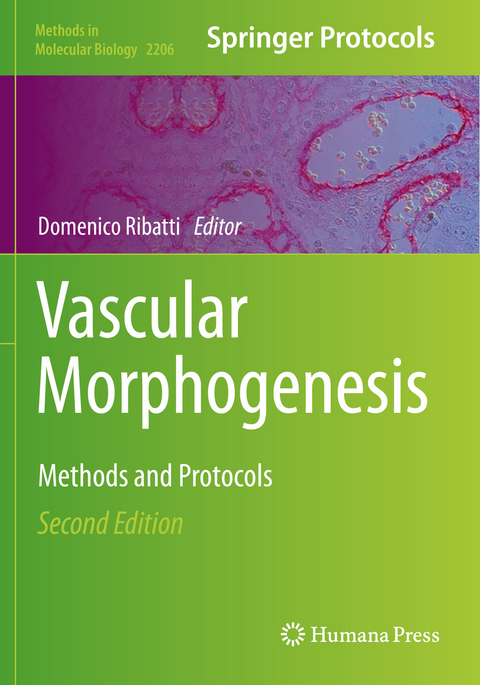 Vascular Morphogenesis - 