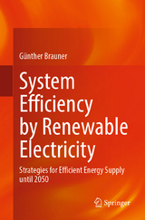 System Efficiency by Renewable Electricity - Günther Brauner