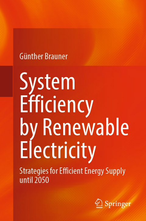 System Efficiency by Renewable Electricity - Günther Brauner