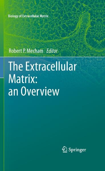 The Extracellular Matrix: an Overview - 