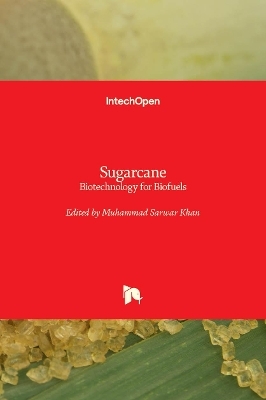 Sugarcane - 