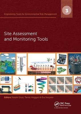 Engineering Tools for Environmental Risk Management - 