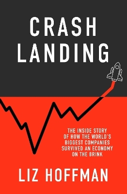 Crash Landing - Liz Hoffman