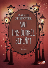 Wo das Dunkel schläft (Band 4) - Stiefvater, Maggie