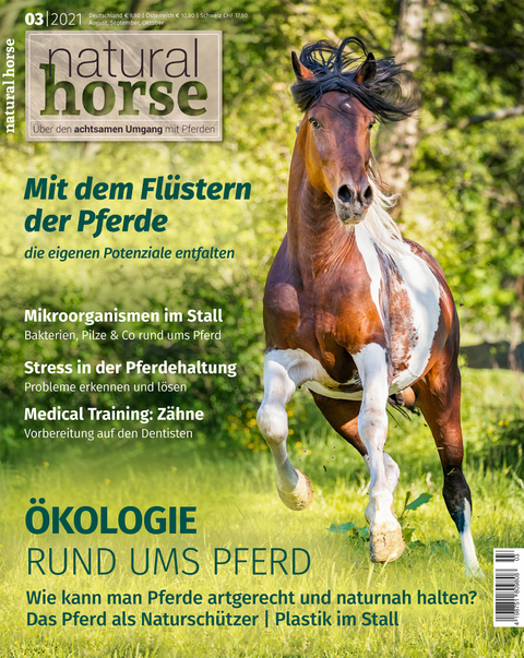 Natural Horse 35