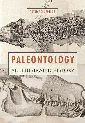 Paleontology - David Bainbridge