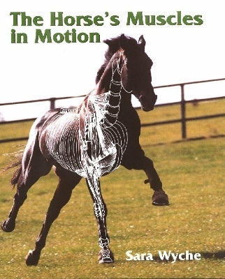 The Horse's Muscles in Motion - Sara Wyche