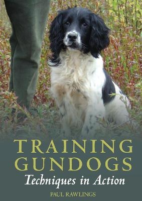 Training Gundogs - Paul Rawlings