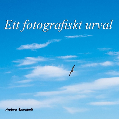 Ett fotografiskt urval - Anders Åkerstedt