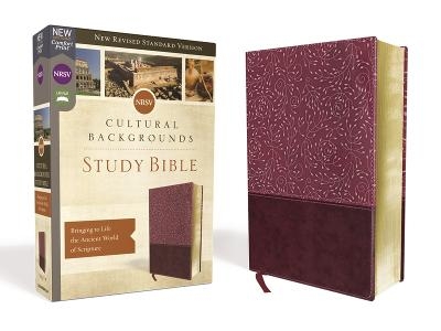 NRSV, Cultural Backgrounds Study Bible, Leathersoft, Burgundy, Comfort Print