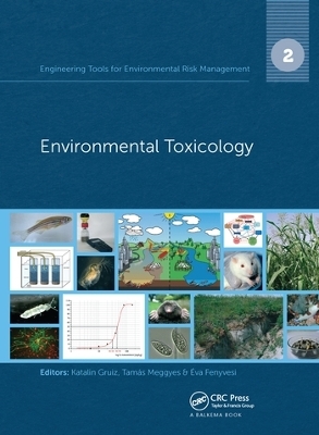 Engineering Tools for Environmental Risk Management - 