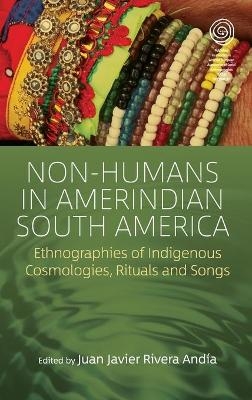 Non-Humans in Amerindian South America - 