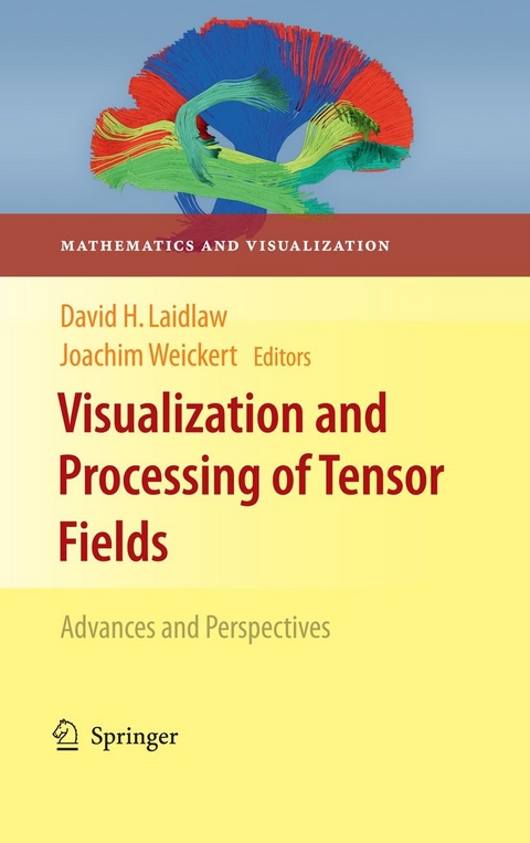 Visualization and Processing of Tensor Fields - 